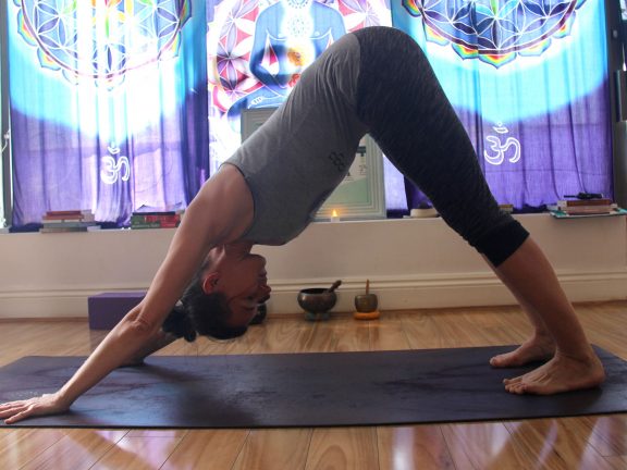 Yogita Yoga